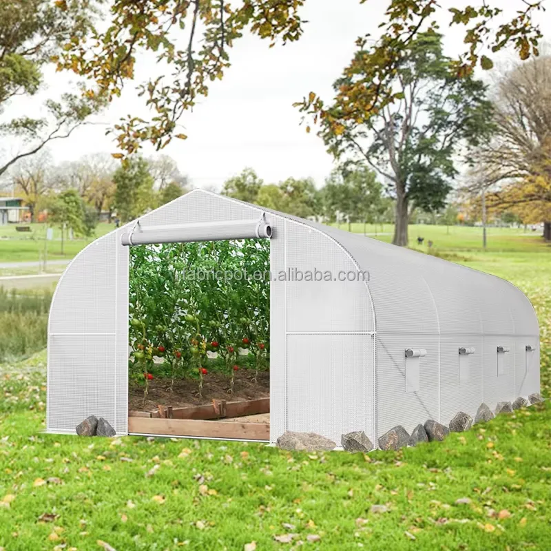 Agriculture Tomato Farming - Парник-теплица для сельскохозяйственных ферм, пленочный тепличный