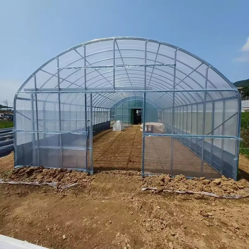 Agriculture Tomato Farming - Однопролетные сельскохозяйственные теплицы и туннельные теплицы