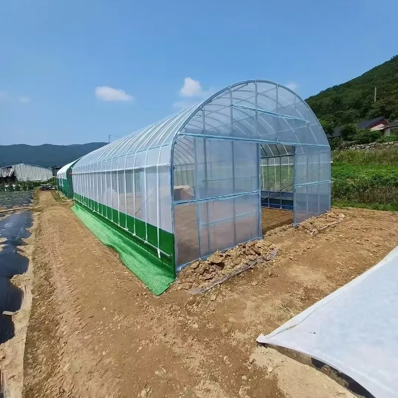 Однопролетные сельскохозяйстве – обзор и цена Agriculture Tomato Farming