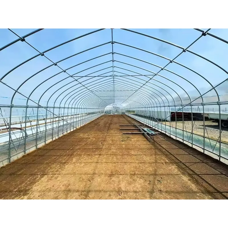 Однопролетные сельскохозяйстве – обзор и цена Agriculture Tomato Farming
