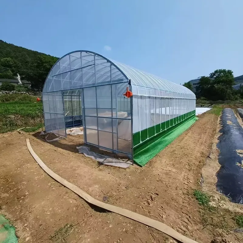 Однопролетные сельскохозяйстве – обзор и цена Agriculture Tomato Farming